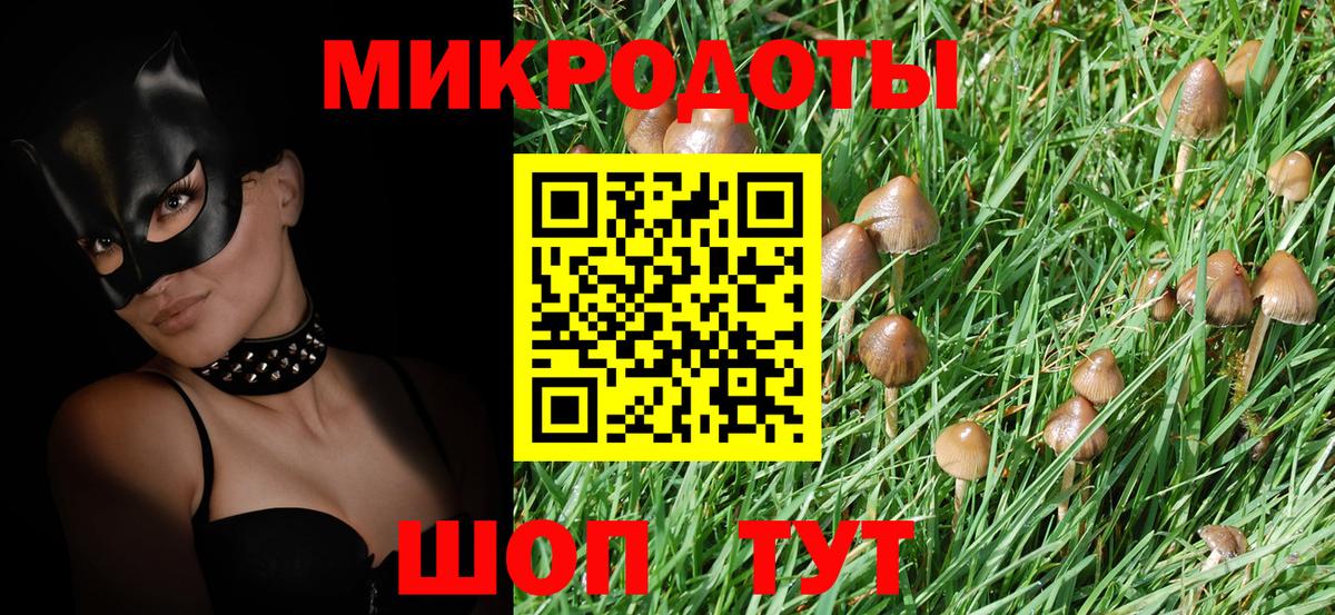 Кисловодск  Псилоцибиновые грибы мухоморы  купить   Вход с VPN 